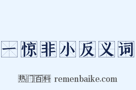 一惊非小反义词是什么意思的图片